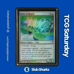 2006 MAGIC: THE GATHERING COLDSNAP #23/155 WALL OF SHARDS FOIL - Image 1