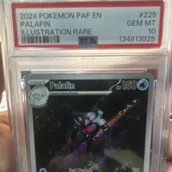 Pokemon Palafin 225/091 SV: Paldean Fates Illustration Rare Holo 150HP PSA 10 - Image 3