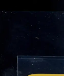 1999 POKEMON BASE SET 1ST EDITION #8/102 MACHAMP HOLO RARE - Image 3