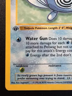 1st Edition Shadowless Poliwag 59/102 Base Set Pokemon Card Rare HP - Image 5