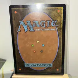 Misty Rainforest (Extended Art) Modern Horizons 2 Regular - Image 2