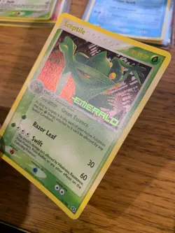 NM! Sceptile (10/106) EX Emerald Stamped Reverse Holo Rare Pokemon Card! - Image 4