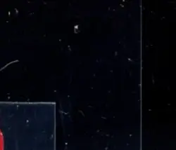 2025 ONE PIECE PROMO 2ND ANNIVERSARY RELEASE EVENT LEADER #P MONKEY.D.LUFFY - Image 5