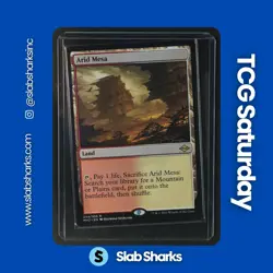 2021 MAGIC: THE GATHERING MODERN HORIZONS 2 #244 ARID MESA - Image 1