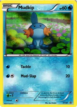 Pokemon TCG Mudkip XY38 Black Star Promo LP - Image 1
