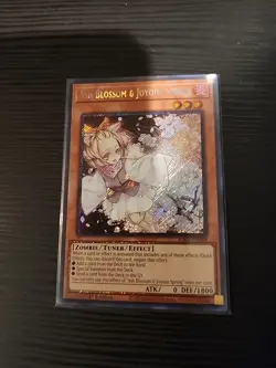 Yu-Gi-Oh Ash Blossom & Joyous Spring RA01-EN008 Platinum SR 1st ED NM - Image 1