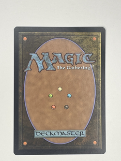 1x Windswept Heath,KTK, Magic: the Gathering, MtG - Image 2