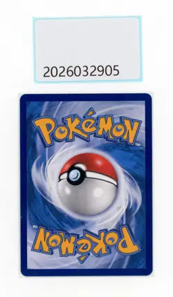 PTCG Pokemon Friends in alola 081/S-P Promo S.chinese NM - Image 2