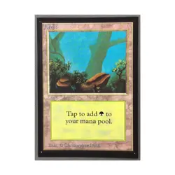 WOTC MtG International Ed. Forest (A) (L) NM - Image 1