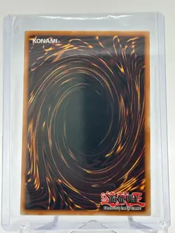 Fallen of the White Dragon (BPRO-EN024) - Secret Rare - 1st Edition - Yugioh! - Image 2