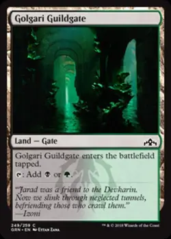 Golgari Guildgate (249) - Near Mint MTG Guilds of Ravnica - Image 1