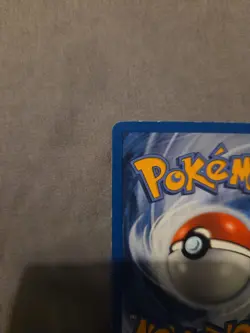 Pokemon TCG Entei Wizards Black Star Promos 34 Holo Promo Promo - Image 3