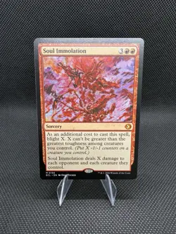 Soul Immolation Lorwyn Eclipsed Regular - Image 1