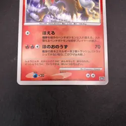 Crystal Tower's Entei Holo 10th Movie Promo - Japanese Pokemon Card - 2007 - Image 4