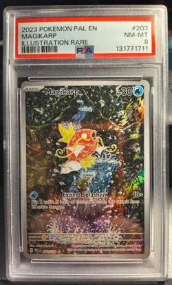 Magikarp Pokemon Pal En-Paldea Evolved 203 NM PSA 8 - Image 1