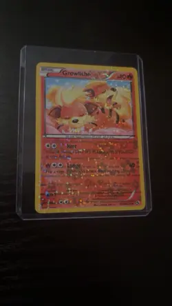 Pokemon Growlithe Legendary Treasures RC4/RC25 Reverse Holo Uncommon 2013 80 HP… - Image 1