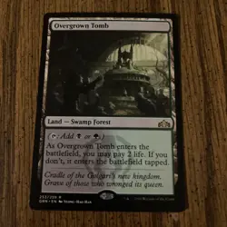Overgrown Tomb Guilds of Ravnica Regular - Image 1