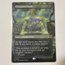 Overgrown Tomb (Borderless) Lorwyn Eclipsed Regular - Image 1