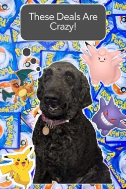 Help A Dog Buy a Card! Pokemon Trading Card PACK Mega Evolution Perfect Order - Image 1