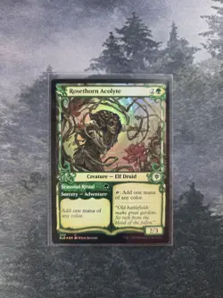 Rosethorn Acolyte (Showcase) Throne of Eldraine Foil - Image 1
