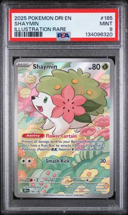 Pokemon TCG 2025 Destined Rivals Shaymin #185 Illustration Rare PSA 9 - Image 1