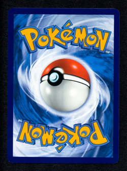 2025 POKEMON PALDEA EVOLVED HERACROSS ILLUSTRATION RARE 194/193 NM - Image 2
