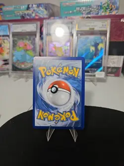 Morpeko SWSH031 SWSH: Sword & Shield Promo Cards Holo Pokemon Tcg - Image 4