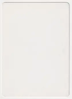 Signed Japanese Hurricane Proof LP 4th Edition FBB Artist Dameon Willich MTG AP! - Image 2