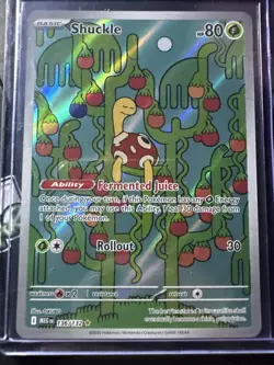 Shuckle 136/132 Illustration Rare, Mega Evolution, Full Art Holo Pokemon TCG, NM - Image 1
