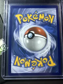 Shuckle 136/132 Illustration Rare, Mega Evolution, Full Art Holo Pokemon TCG, NM - Image 2