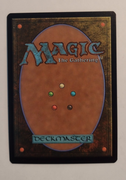 Helga, Skittish Seer - Bloomburrow (BLB) FOIL - EN - M 0217 - Image 2