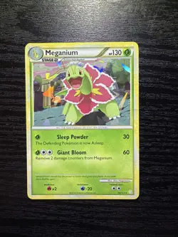 Meganium 26/123 NM 2010 Pokemon Heartgold Soulsilver Exclusive Cracked Ice Holo - Image 1