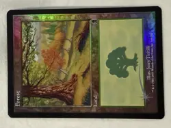 NM/LP Forest #349 Foil Odyssey Mtg Magic the Gathering - Image 2
