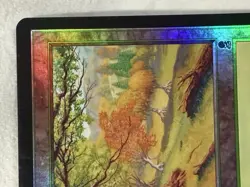 NM/LP Forest #349 Foil Odyssey Mtg Magic the Gathering - Image 3