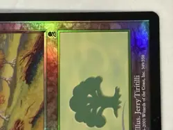 NM/LP Forest #349 Foil Odyssey Mtg Magic the Gathering - Image 4