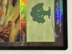 NM/LP Forest #349 Foil Odyssey Mtg Magic the Gathering - Image 5