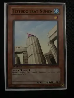 Testudo Erat Numen TSHD-EN032 1st Edition The Shining Darkness - LP - Image 1