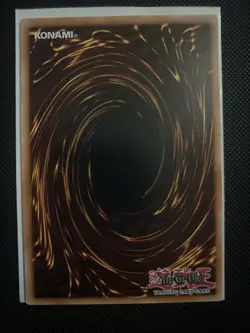 Testudo Erat Numen TSHD-EN032 1st Edition The Shining Darkness - LP - Image 2