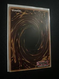 Testudo Erat Numen TSHD-EN032 1st Edition The Shining Darkness - LP - Image 3