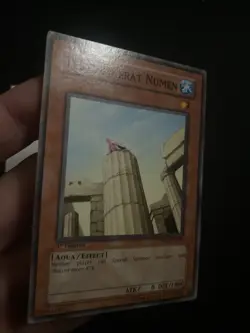 Testudo Erat Numen TSHD-EN032 1st Edition The Shining Darkness - LP - Image 5