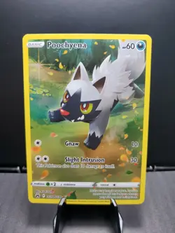 Pokemon TCG Poochyena GG33/GG70 Crown Zenith: Galarian Gallery Holo NM - Image 1