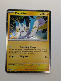 Pachirisu - 158 - SV: Scarlet & Violet Promo Cards Pokemon Promo NM - Image 1