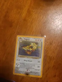 Pokemon TCG Pidgeot VINTAGE Great Condition No Symbol... - Image 2