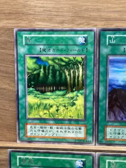 Yu-Gi-Oh! OCG Field Spell Set Forest, Mountain, Ocean, Wasteland, Umi, Yami - Image 4