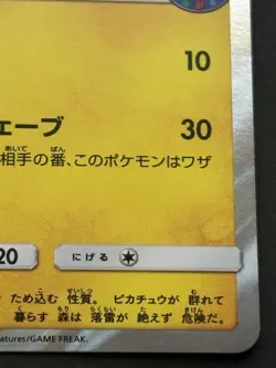 Pokemon card Water Fun Pikachu 392/SM-P Promo 2019 Pokemon TCG Japan Rare Holo - Image 4