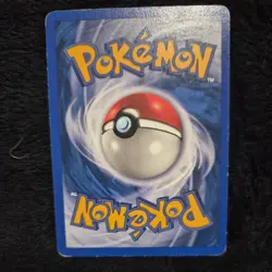 LP Expedition Squirtle 132/165 Pokemon 2002 Vintage Kyoko Umemoto NonHolo - Image 2