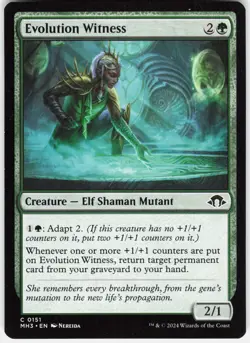 Evolution Witness C Modern Horizons 3 151 LP - Image 1