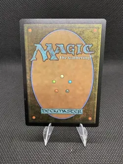 Sheltered by Ghosts Duskmourn: House of Horror Regular - Image 2