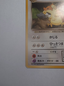 Pokemon Japanese Dark Raticate No. 020 | Team Rocket | Vintage Old Back - Image 5