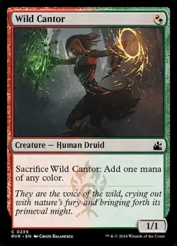 Wild Cantor MTG Ravnica Remastered Common NM x4 - Magic Card - Image 1